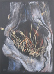 Womb with a View, Chalk