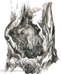 Womb with a View, Ink